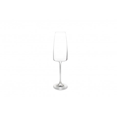 Champagneglas Villa 23cl Set/4